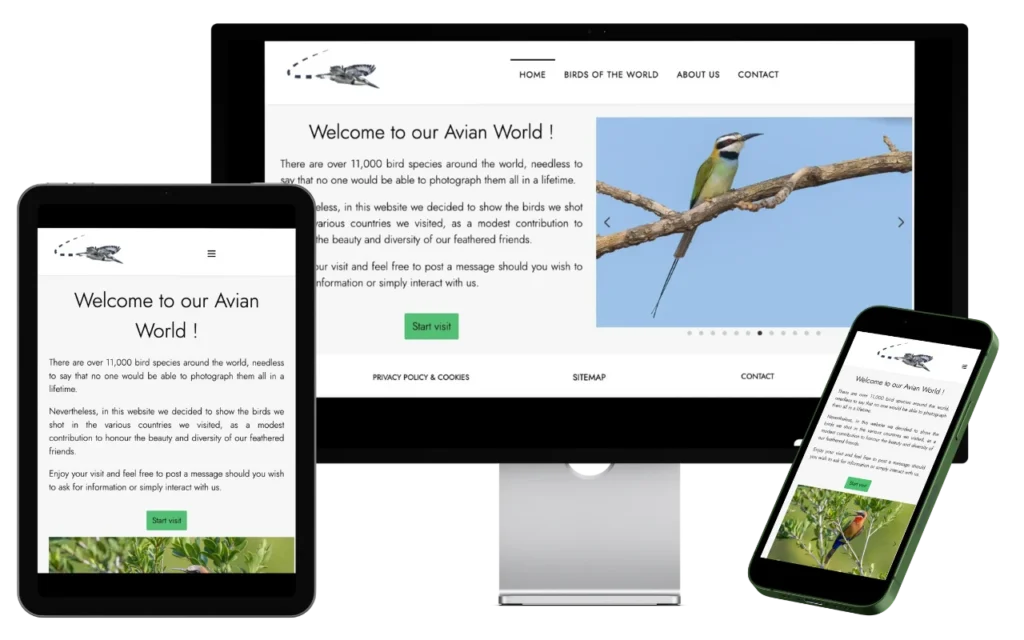 Birdviewvinder responsive
