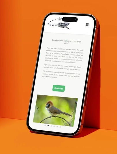 Mobile birdviewfinder